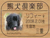 �I�[�i�[�́A�p�Y�[�Ƃ���ł���